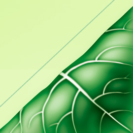 Logo Linea Prodotti per Capelli Farmaca International - Agenzia: SDC <br/><em>Pubblicato il  19 di ottobre, 2015